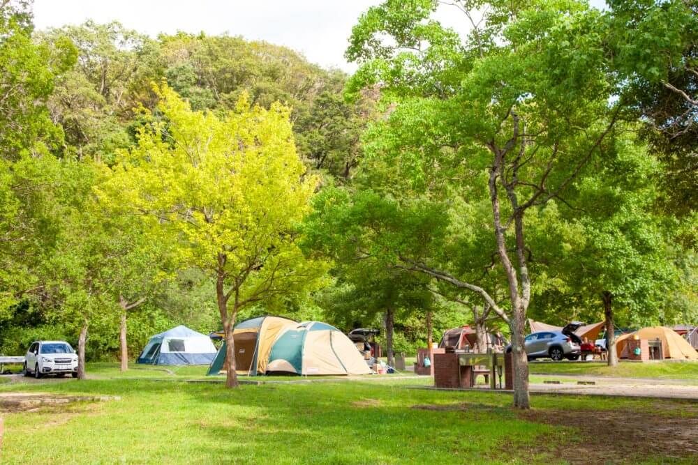 オートキャンプ場