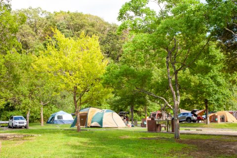 オートキャンプ場