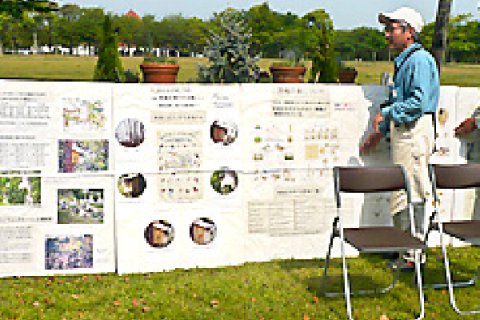 バードウォッチング