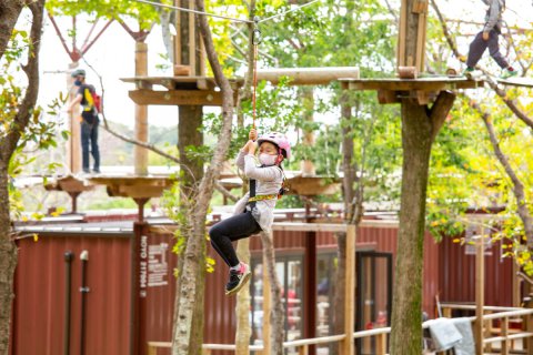 ボウケンノモリ