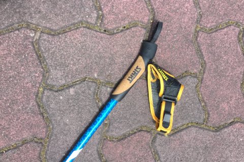 ノルディックウォーキング