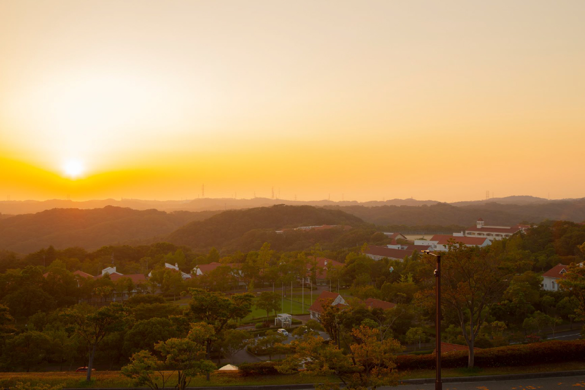 ノルディックウォーキング