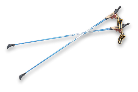 ノルディックウォーキング レンタルポール