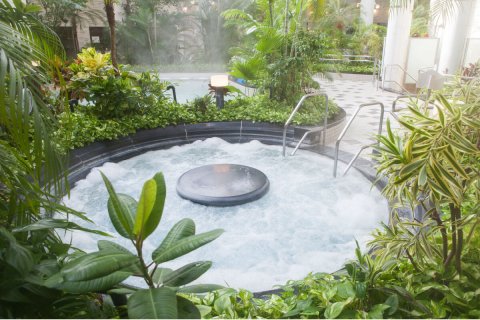 ジャングル温泉しあわせの湯