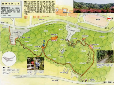 コナラバヤシの自然道マップ