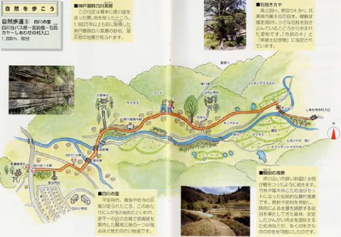 白川の里の自然道