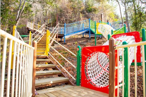 トリム園地の山の砦