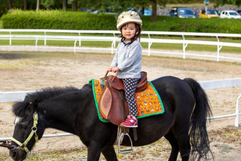 馬事公苑 ポニー乗馬