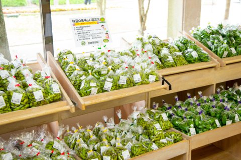 しあわせマルシェ 地場野菜