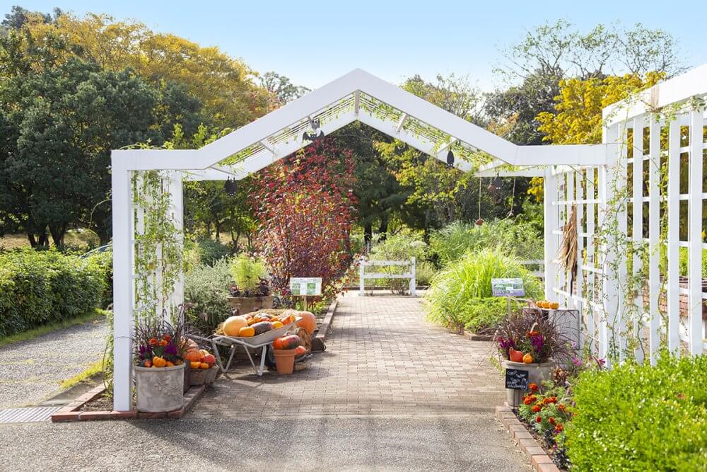 農園（果樹園・薬草園・農園・ユニバーサル農園）