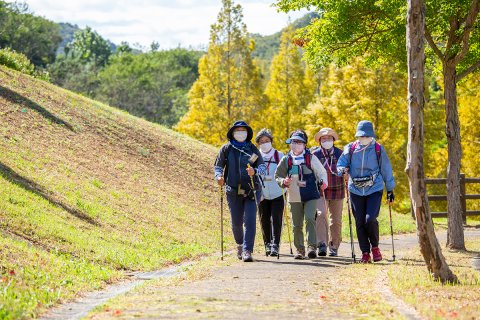 ノルディックウォーキング